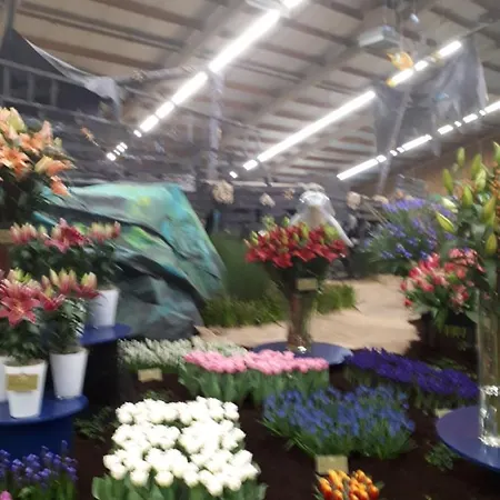 The Ark Hotel 't Zand