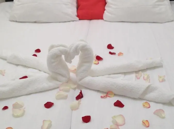 호텔 The Ark 't Zand